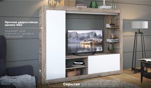 Гостиная Рона 1